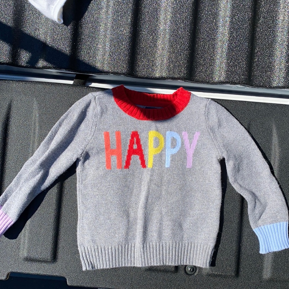 Gap sweater